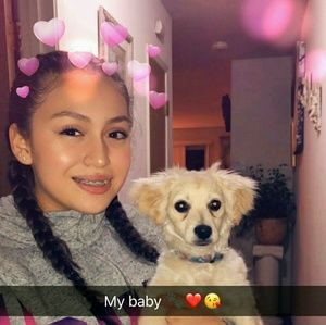 Meet your Posher, Luna